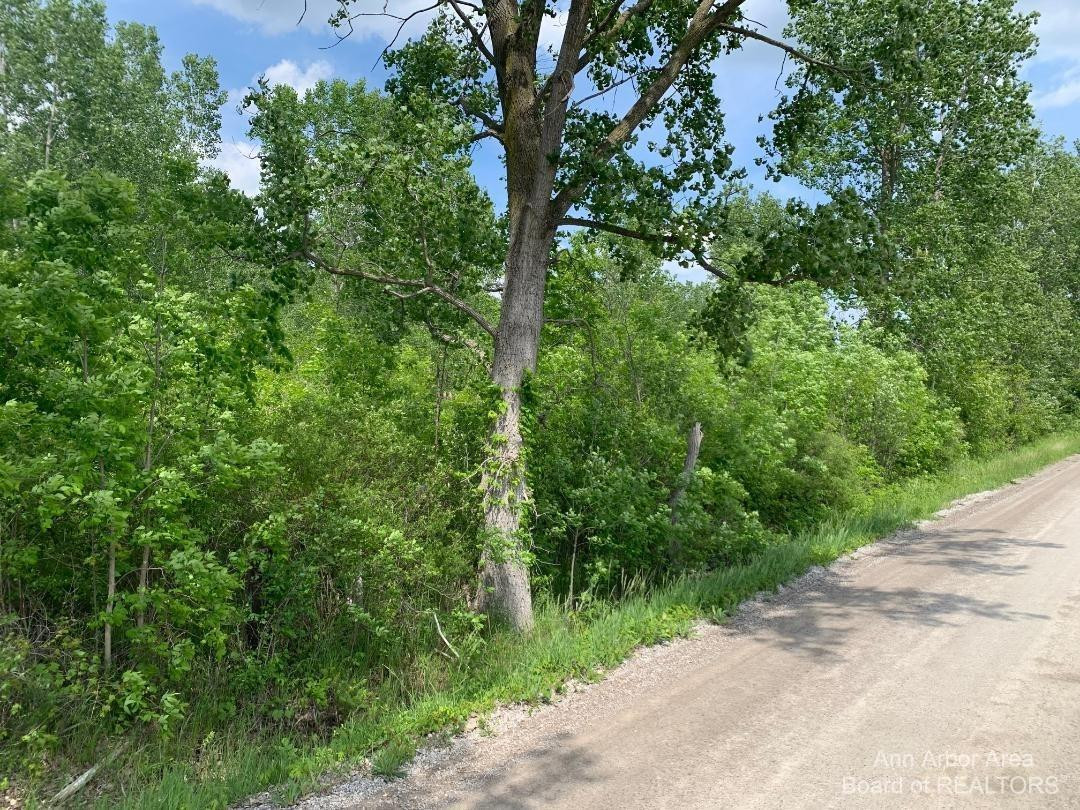 0 Calhoun Road Milan, MI 48160 - Photo 3 of 3 Photo 3
