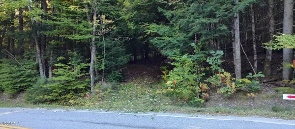$72,500 | L-17.112 Hoffman Road, Schroon Lake, NY 12870