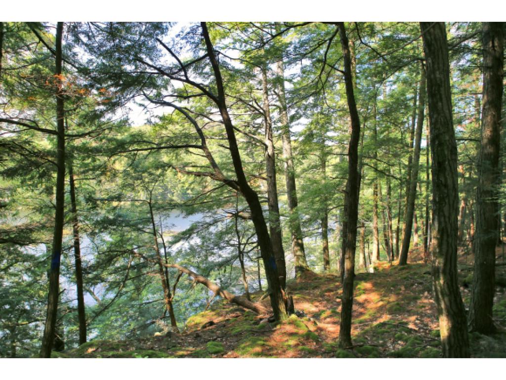 185 Sunrise Lake Road Orwell, VT 05760 - Photo 23 of 36
