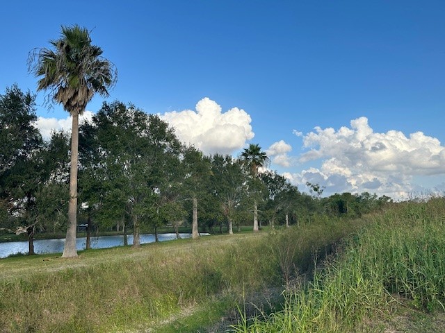 6083 Farm To Market 1462 Rosharon, TX 77583 - Photo 11 of 43 a backyard of a house with lots of green space