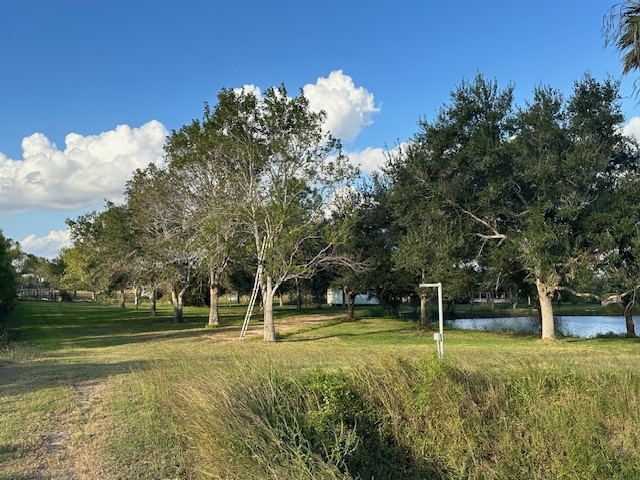6083 Farm To Market 1462 Rosharon, TX 77583 - Photo 12 of 43 a view of a yard with a tree