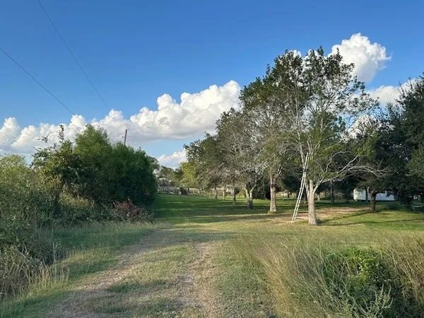 a view of a yard with an outdoor space