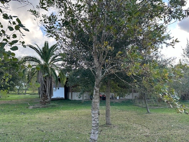 6083 Farm To Market 1462 Rosharon, TX 77583 - Photo 17 of 43