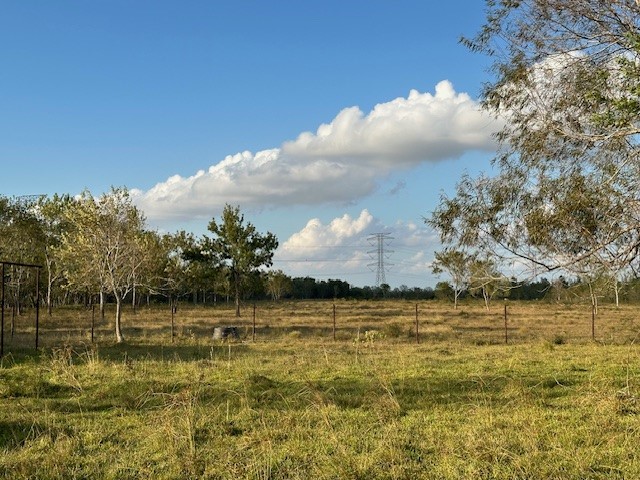 6083 Farm To Market 1462 Rosharon, TX 77583 - Photo 23 of 43