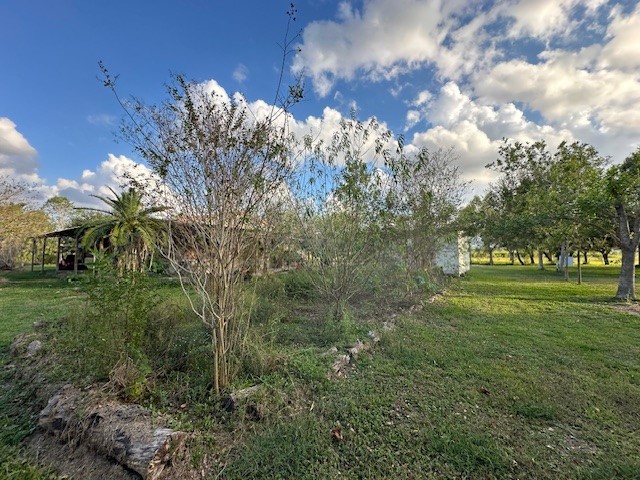 6083 Farm To Market 1462 Rosharon, TX 77583 - Photo 25 of 43