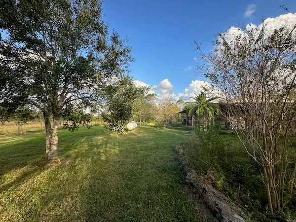 a view of a back yard