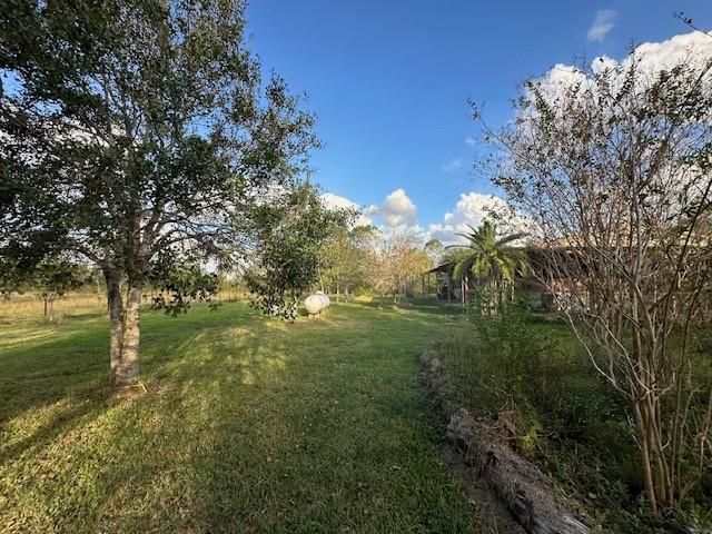 6083 Farm To Market 1462 Rosharon, TX 77583 - Photo 26 of 43 a view of a trees with a yard