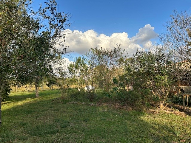 6083 Farm To Market 1462 Rosharon, TX 77583 - Photo 28 of 43 a view of a field with a tree in the background