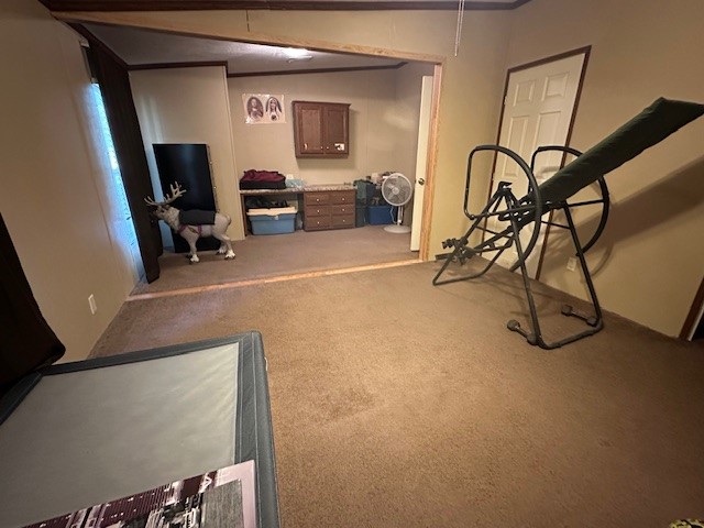 6083 Farm To Market 1462 Rosharon, TX 77583 - Photo 40 of 43 a view of a room with gym equipment