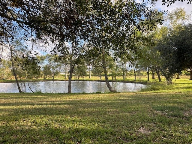 6083 Farm To Market 1462 Rosharon, TX 77583 - Photo 4 of 43 a view of swimming pool with trees