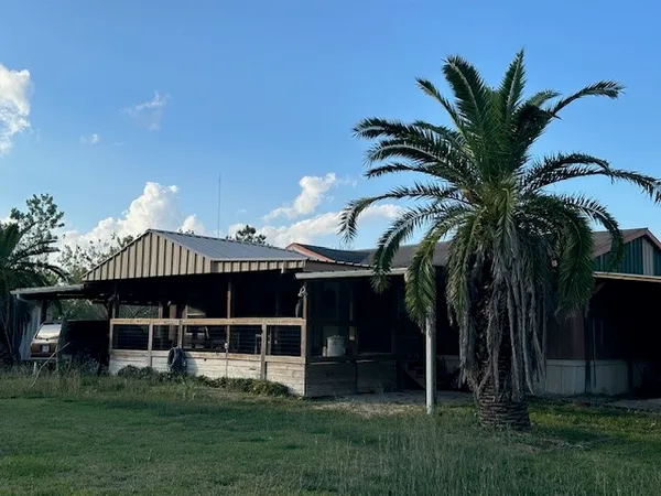 a view of a yard with a tree