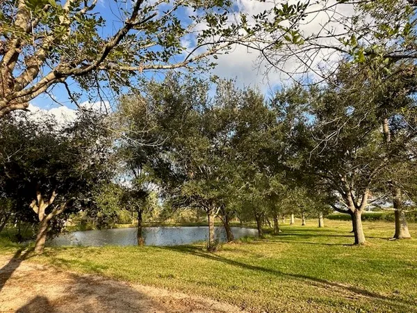 a view of a backyard with a garden