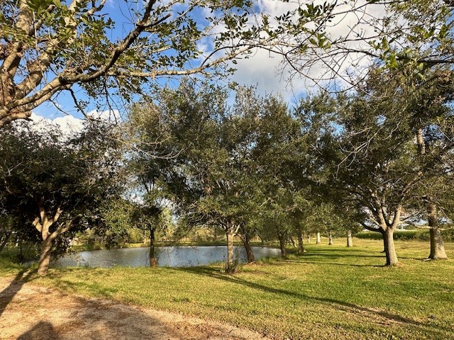 6083 Farm To Market 1462 Rosharon, TX 77583 - Photo 8 of 43 a view of a yard with a tree
