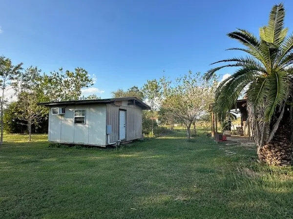 a view of a yard with a tree