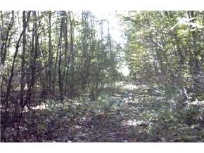 - Old Chesterfield Road Winchester, NH 03470 - Photo 2 of 4