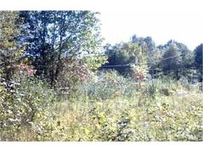 - Old Chesterfield Road Winchester, NH 03470 - Photo 4 of 4