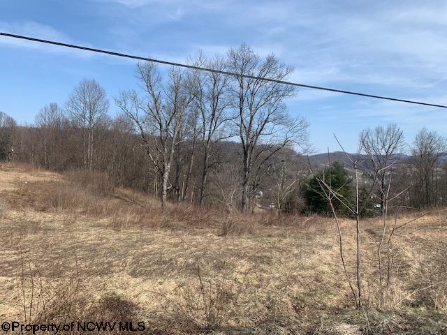 Tbd Rohrbough Street Belington, WV 26250 - Photo 19 of 20 Gallery Image 19