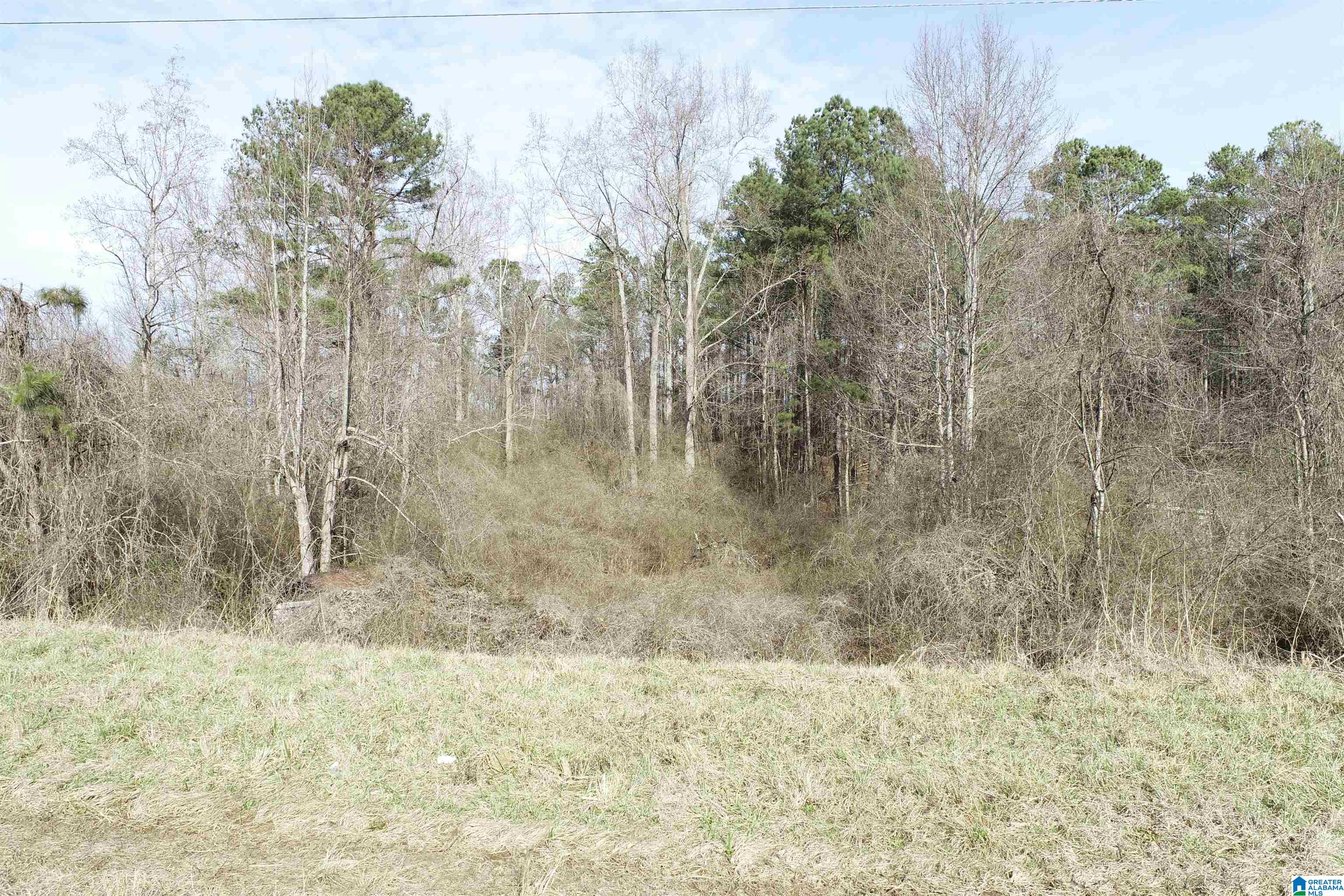 0 Highway 48 Wedowee, AL 36278 - Photo 2 of 9
