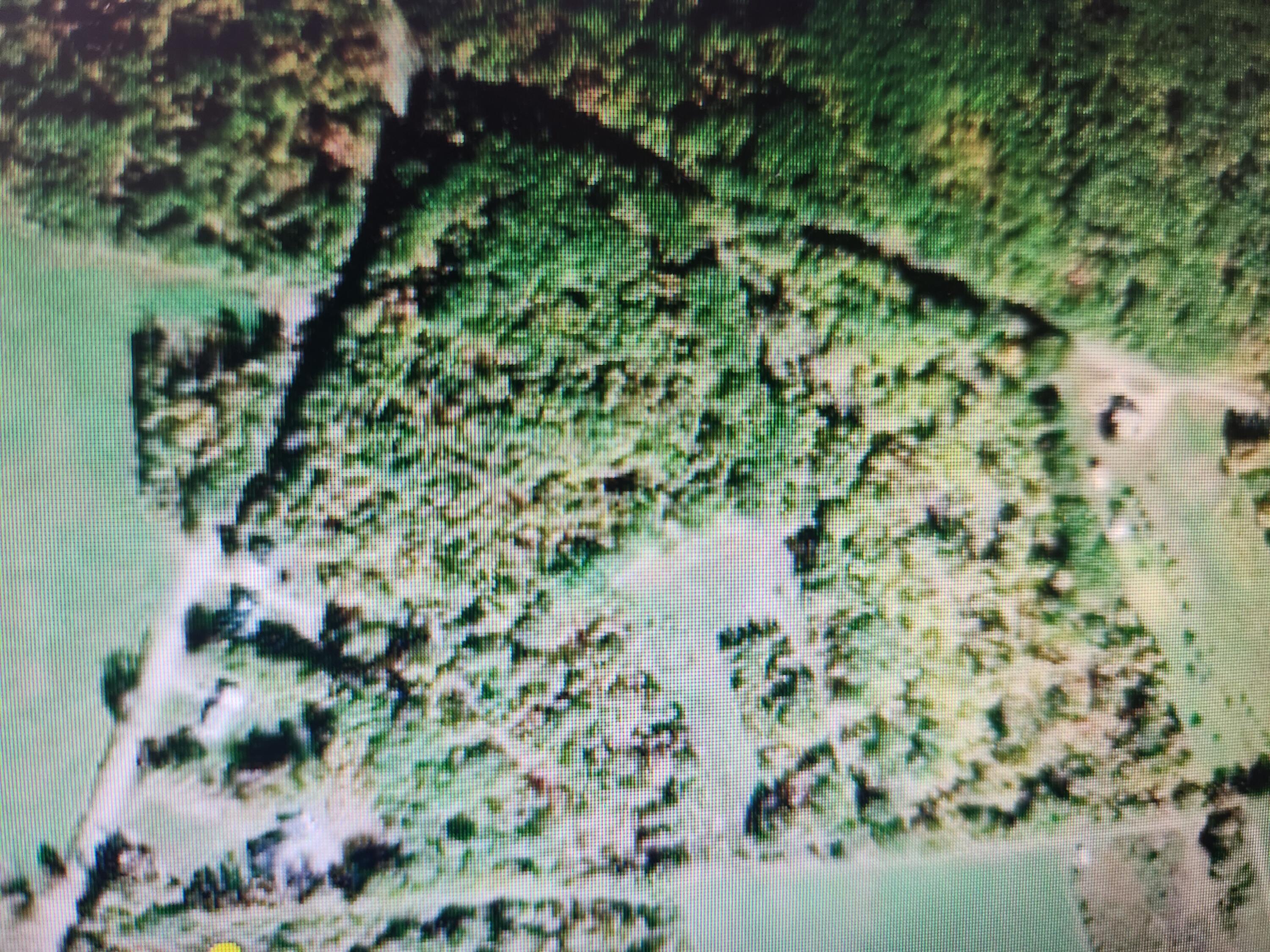 286 Staples Hill Road Canton, ME 04221 - Photo 50 of 118 20260323_100521