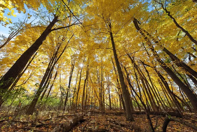 $699,900 | W204N9269 Lannon Road, Menomonee Falls, WI 53051