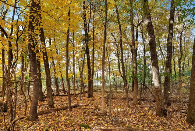 $699,900 | W204N9269 Lannon Road, Menomonee Falls, WI 53051