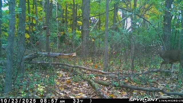 W204N9269 Lannon Road Menomonee Falls, WI 53051 - Photo 67 of 74 HD0055