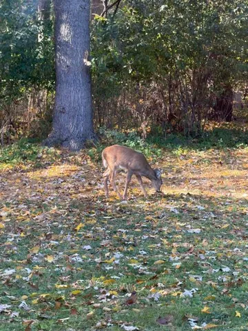 $699,900 | W204N9269 Lannon Road, Menomonee Falls, WI 53051