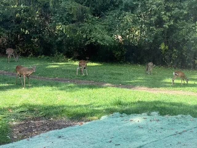 $699,900 | W204N9269 Lannon Road, Menomonee Falls, WI 53051