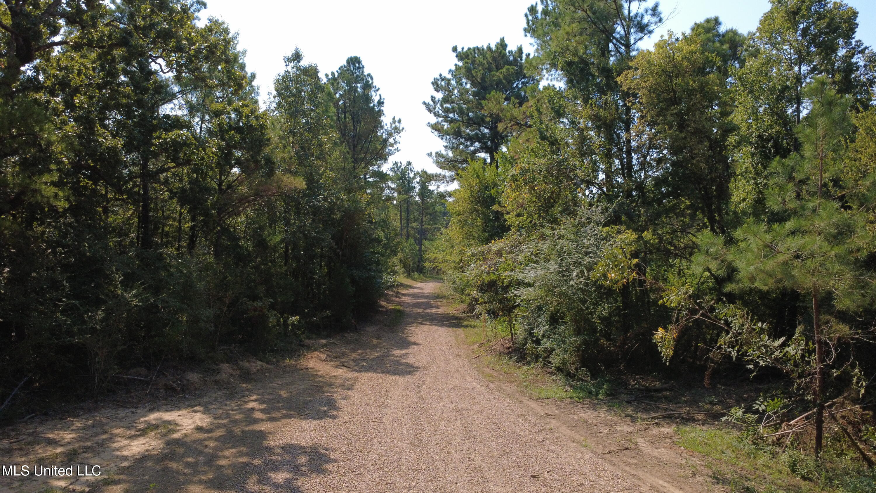 149 Lone Pine Road Canton, MS 39046 - Photo 8 of 14 DJI_0012