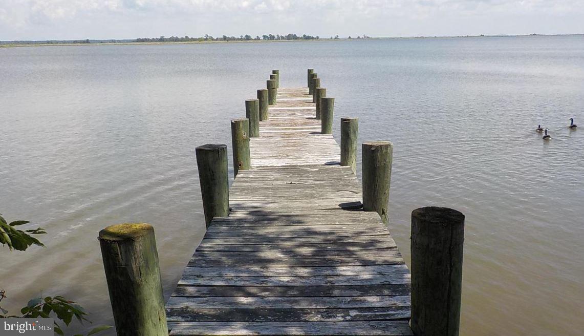 10277 Deal Island Road Deal Island, MD 21821 - Photo 4 of 10