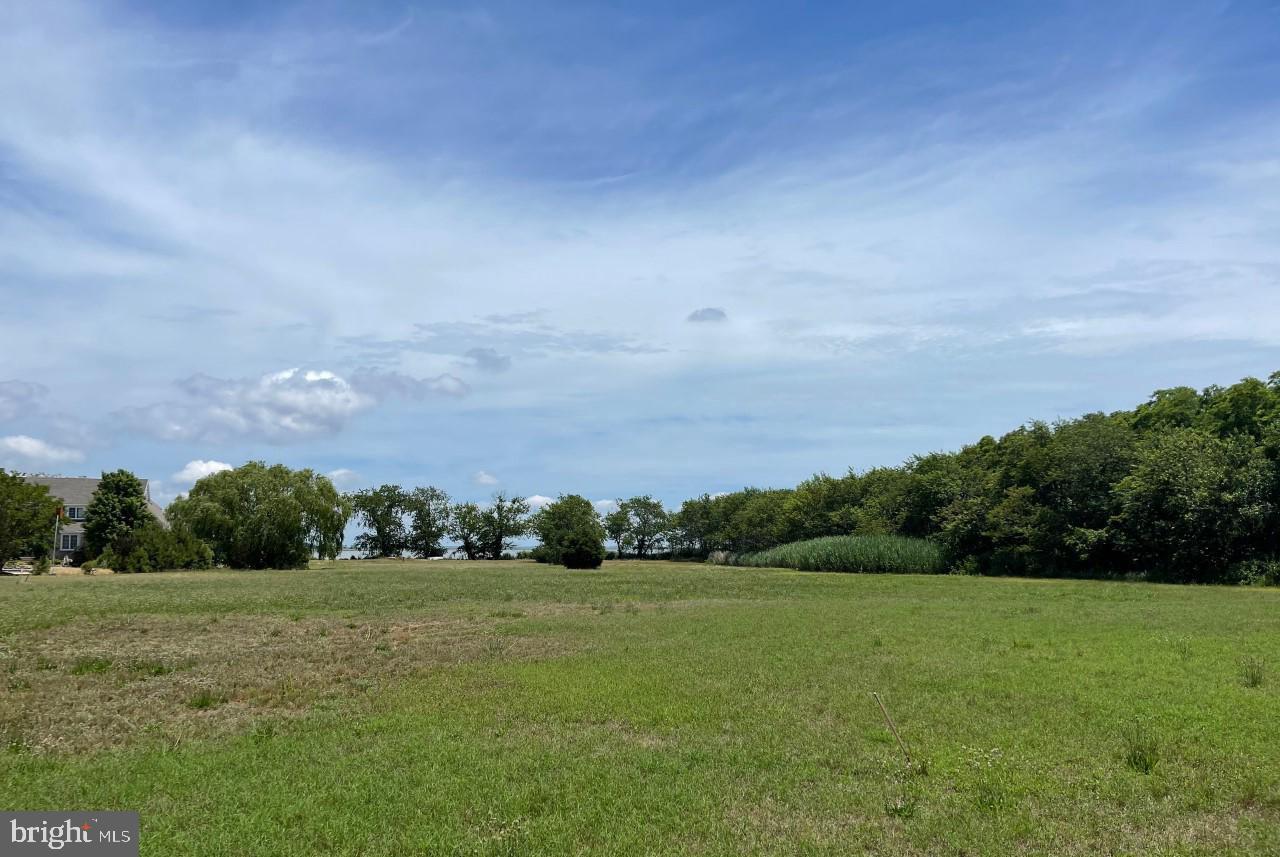 10277 Deal Island Road Deal Island, MD 21821 - Photo 5 of 10