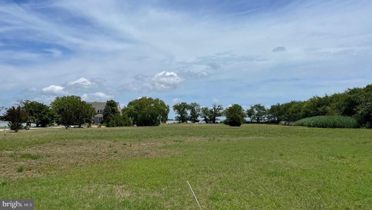 10277 Deal Island Road Deal Island, MD 21821 - Photo 6 of 10