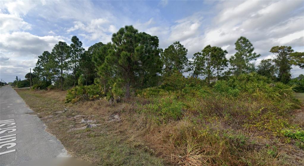3412 13th Street Southwest Lehigh Acres, FL 33976 - Photo 3 of 6 a view of a bunch of plants and trees