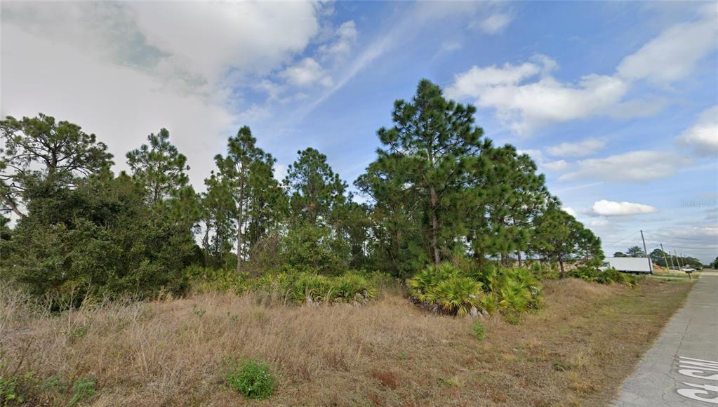 3412 13th Street Southwest Lehigh Acres, FL 33976 - Photo 5 of 6 a backyard of a house with lots of green space