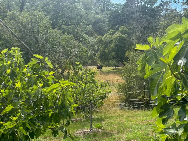 $2,950,000 | 2371 McNab Ranch Road, Ukiah, CA 95482