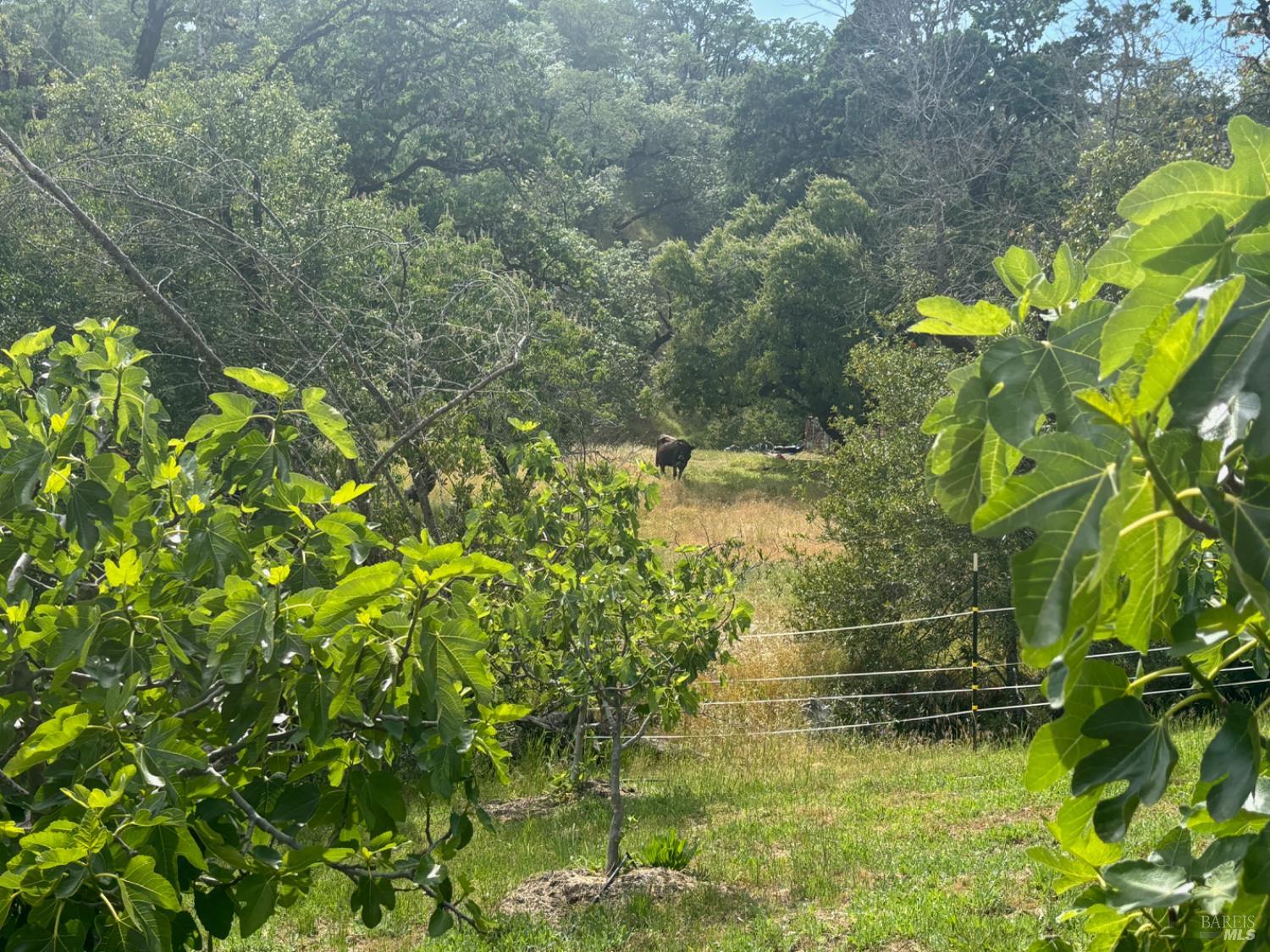 2371 McNab Ranch Road Ukiah, CA 95482 - Photo 12 of 93