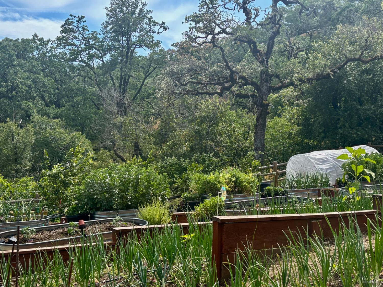 2371 McNab Ranch Road Ukiah, CA 95482 - Photo 14 of 93