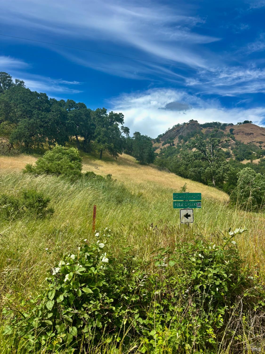 2371 McNab Ranch Road Ukiah, CA 95482 - Photo 4 of 93