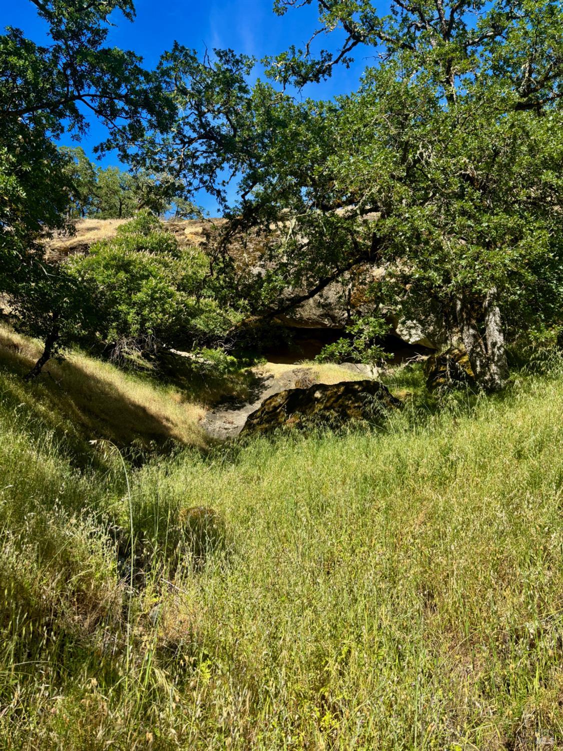2371 McNab Ranch Road Ukiah, CA 95482 - Photo 66 of 93