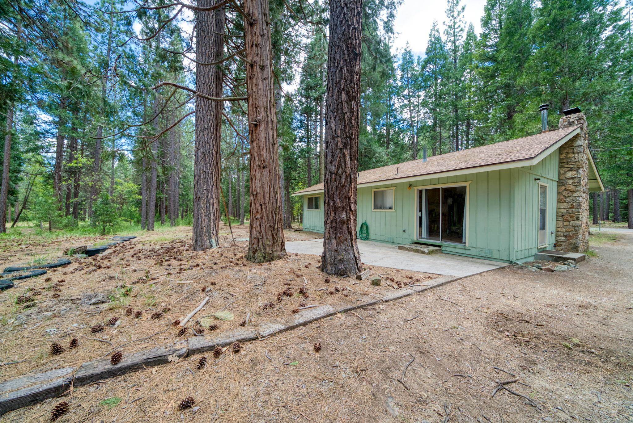 58374 Gill Ranch Road Cromberg, CA 96103 - Photo 20 of 44 a backyard of a house with large trees and plants