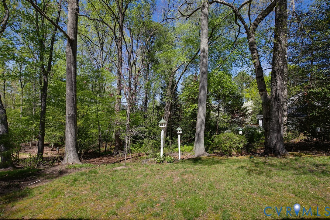 10000 Ramsbury Way Richmond, VA 23238 - Photo 55 of 59