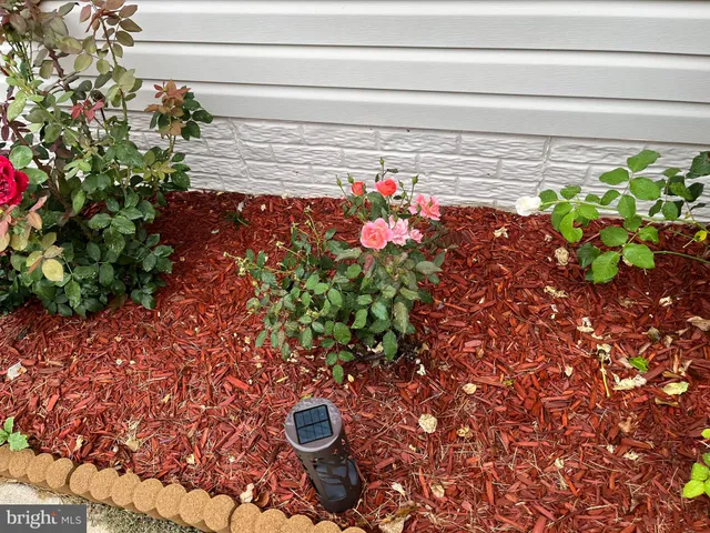 $2,300 | 113 B Hotchkiss Street, Fredericksburg, VA 22408