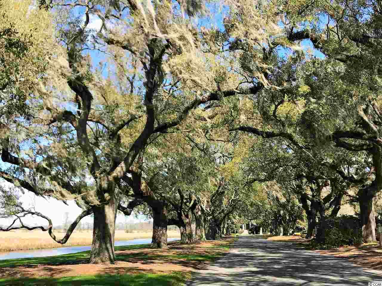 2830 Old Charleston Road Georgetown, SC 29440 - Photo 32 of 39