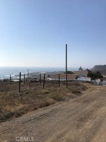 a view of a dry yard