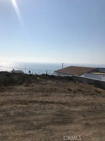 a view of a yard