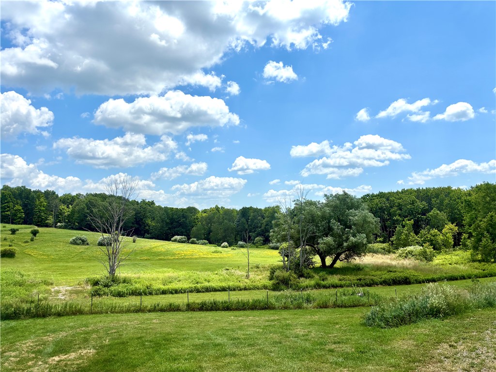 4758 Tucker Road Thurston, NY 14821 - Photo 42 of 42