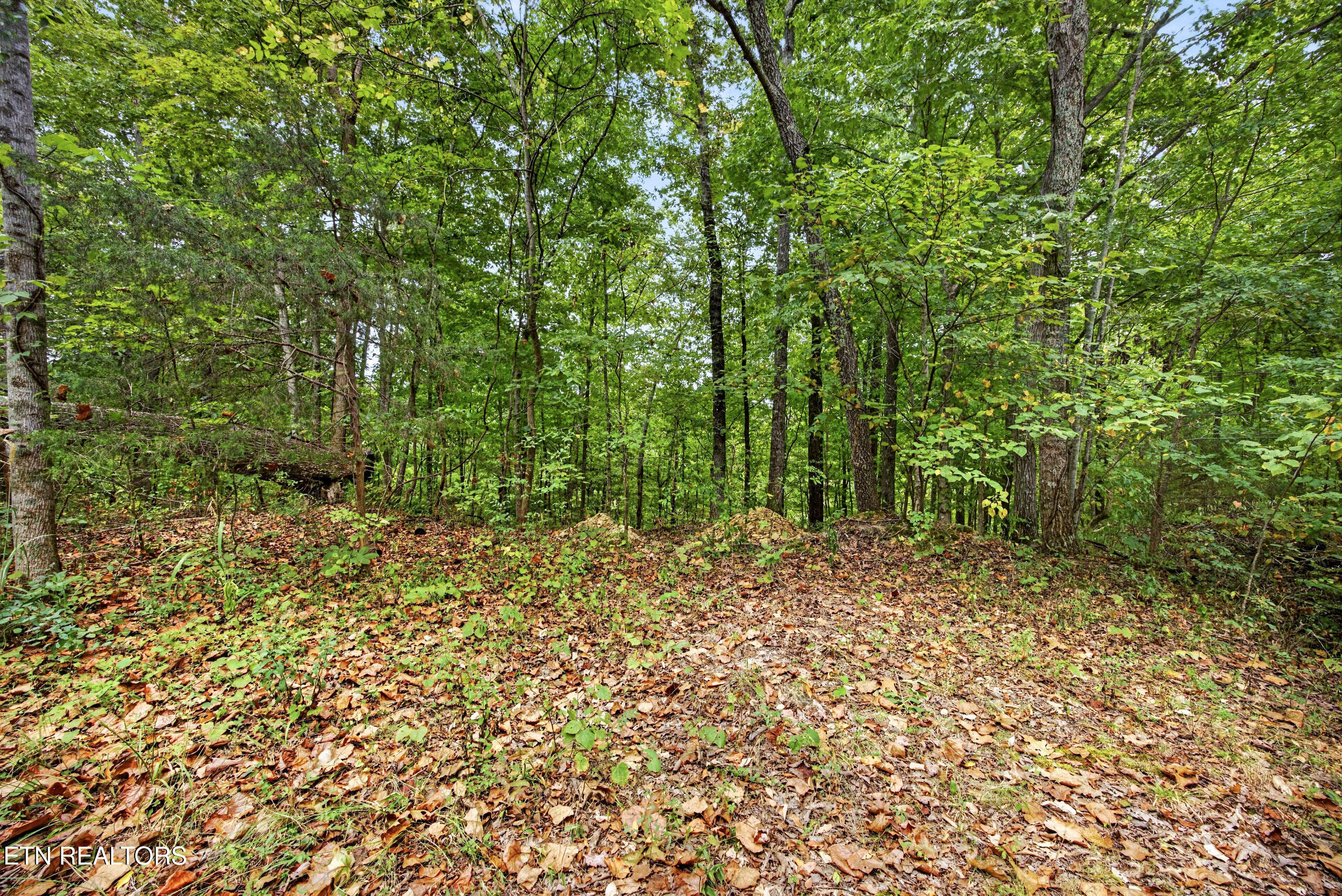 Lot 28 Timber Ridge Lane Celina, TN 38551 - Photo 1 of 14 11-8N5A6804