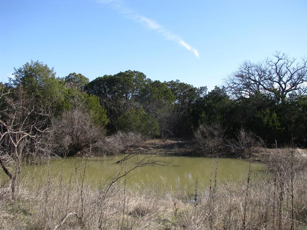 Lot 3-ph County Road 421 Evant, TX 76525 - Photo 7 of 27