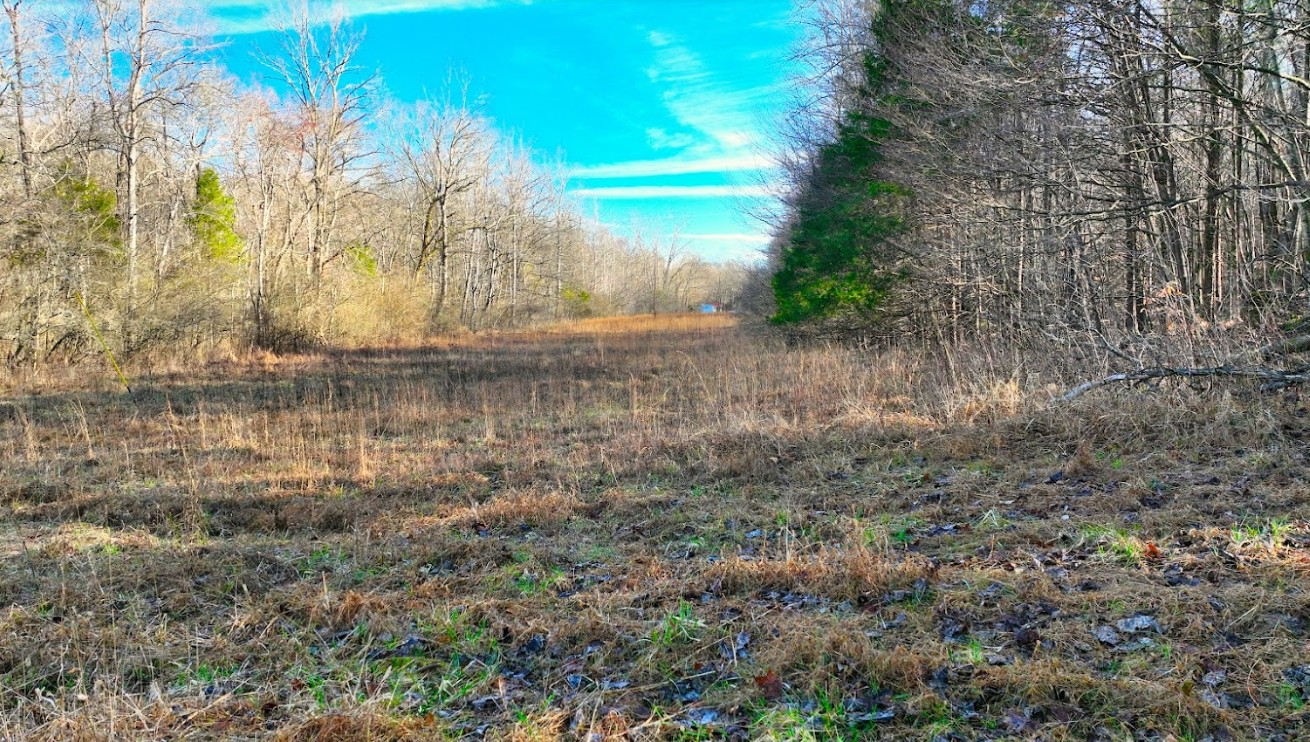 40 Copperas Branch Road Leoma, TN 38468 - Photo 1 of 10 Gallery Image 1