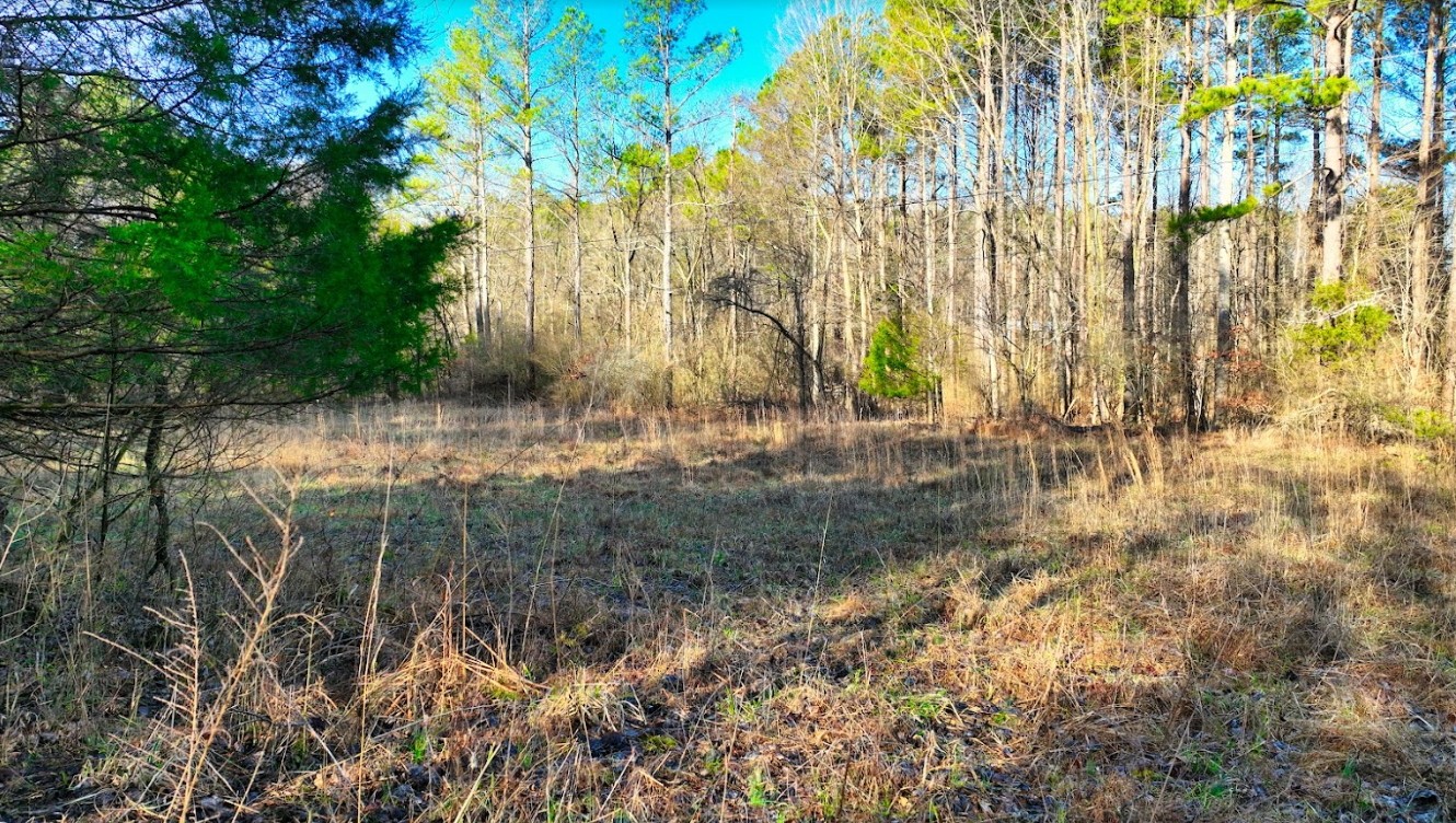 40 Copperas Branch Road Leoma, TN 38468 - Photo 3 of 10 Gallery Image 3